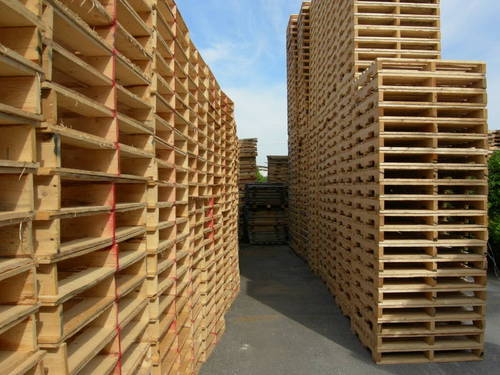 sản xuất pallet gỗ 